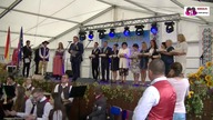Wystąpienie Burmistrza Joachima Wojtali - Dożynki 2017 w Malni