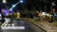 Przez wichury w Polsce strażacy mają mnóstwo pracy [Serwis informacyjny, KSTV Info]