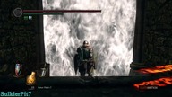 Knight Artorias NG+7 - Boss Fight - Dark Souls Remastered