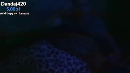 TYPOWY DAWID JASPER #dawidjasper #jasper #fyp #śmieszne