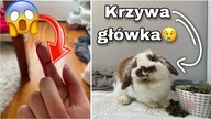 Wbiłam igłę w palec | aktualizacja zdrowia Żulika