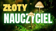 TWÓJ ZŁOTY PRZEWODNIK GOLDEN TEACHER - NAJPOPULARNIEJSZY GRZYB MAGICZNY