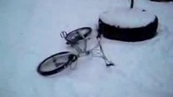 Kaskader na pokaz