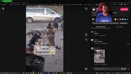 Przegląd TikToka #30 / Masz oglądać do końca, bo jak chcesz być nieświadomy to już nie moja wina :D
