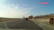 Uwaga! Zwierzęta na drodze!