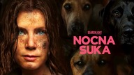 Nocпa suka (2024) [Lektor PL] - Niqhtbitch 