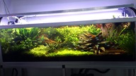 Substrat DIY do akwarium roślinnego.