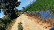 Delta rzeki Ebro , Hiszpania