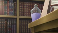 Akagami no Shirayuki-hime S02E11 [Napisy PL]