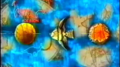 Podróże przyrodnika.  Izrael (TVP7 1999) LEKTOR PL