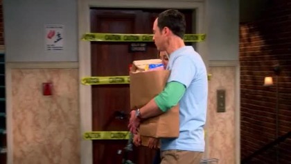 Teoria wielkiego podrywu - The. Big. Bang. Theory. S07E02