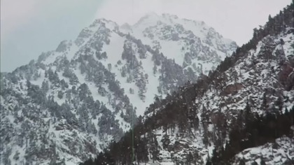 Krwawa Dziewiątka 1972 lektor pl