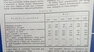 Wypadki Kolejowe w Dawnej Polsce! 1300 osób okaleczonych Dane Urzędu Transportu Kolejowego 1922-1927