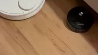mały urwis pod czułym okiem mamy