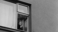 Miłość blondynki 1965 lektor pl