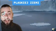 Płaskosiemcy to stan umysłu #shorts