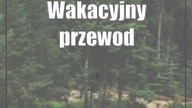 Wakacyjny przewodnik Dziennika.  A gdyby tak poplażować w Jacni?