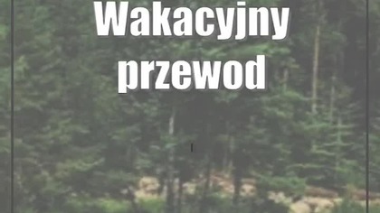 Wakacyjny przewodnik Dziennika.  A gdyby tak poplażować w Jacni?