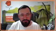 Widz czy aktor?