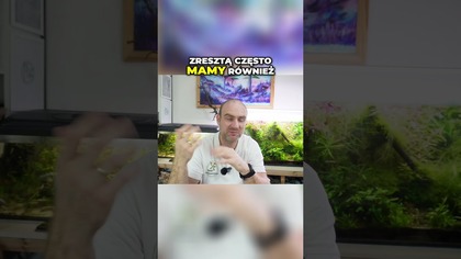 Bimbrownia w akwarium  Co z nią nie tak ?
