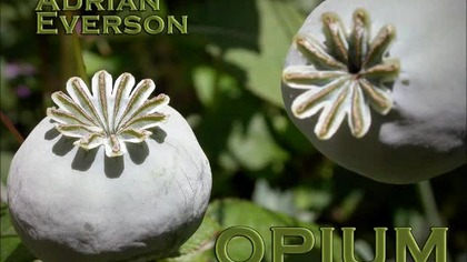 Adrian Everson - Opium