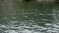 Sprytne ciasteczka