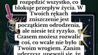 #wrozka #wybor #youtubeshorts