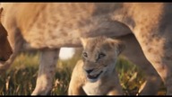 Mufasa: Król Lew Trailer #króllew #lionking #mufasathelionking