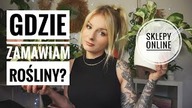 Gdzie ZAMAWIAM ROŚLINY? Internetowe sklepy godne polecenia 