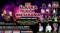 Śląska Gala Biesiadna 2019 (2)