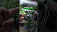 Sadzenie bez śladu! Zobacz, jak to robię w akwapaludarium