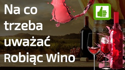 Jak robić Dobre Wino  Poradnik i Wskazówki