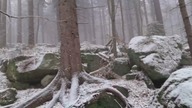 Survival: Dobór miejsca pod bytowanie - zima