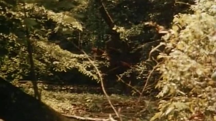 Hawkens.  Breed.  1987 lektor.pl western