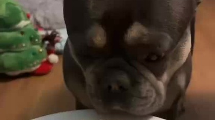 CCo!? Hamburger!? To nie dla mnie.