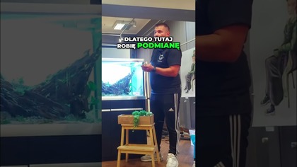 Akwarystyka Klucz do Idealnej Wody i Parametrów!