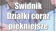 Świdnik: Działki coraz piękniejsze