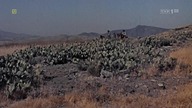 Dobry. dzien. na. egzekucje_Good. Day. for. a. Hanging. 1959.pl. 1080i. HDTV. h264-HcI