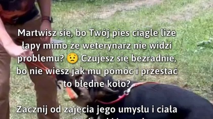 Jak pomóc psu z nawykiem lizania łap? #Psy #ZdrowiePsa #PsieZabawy