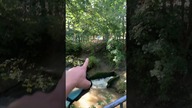 Malowniczy park hehe 55/57 Park wokół dworu Matejki