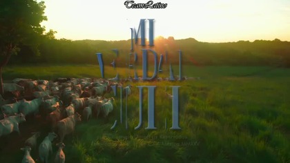 Mi verdad oculta 014 NAPISY PL