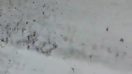 Zabawy na wsi