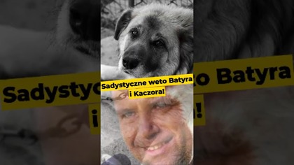 Sadystyczne weto Batyra i Kaczora! #Nawrocki #Batyr #Kaczyński #Kaczor #prezydentchaosu #polityka