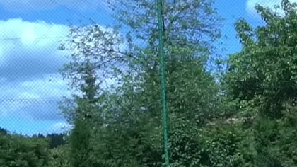 176cm wsad na 307cm #shorts