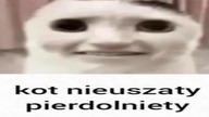 Historia Nickelodeon Polska od 2008 do 2020 (NIEKOMPLETNE)