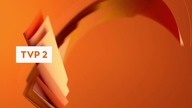 TVP2 - Przerwa Techniczna 19/20. 06. 2023