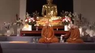 O radzeniu sobie z emocjami - Ajahn Brahm [LEKTOR PL]