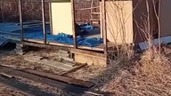 Stara ondulina na czas deszczu  #garden #permaculture #ogródek #golebie #golebnik