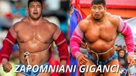 POTWORNA Siła Mongolskich Gigantów