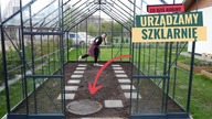 Przygotowujemy szklarnię do sezonu.  Co zamiast grządek podwyższonych?